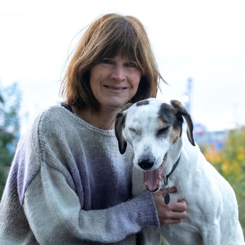 HundeschuleHamburg-DSB5764-a